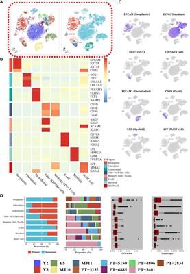 Integrating single-cell and spatial transcriptomic analysis to unveil heterogeneity in high-grade serous ovarian cancer